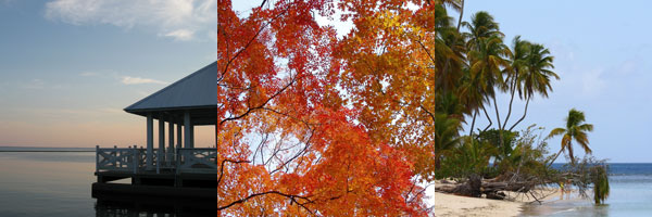 Landscapes pic